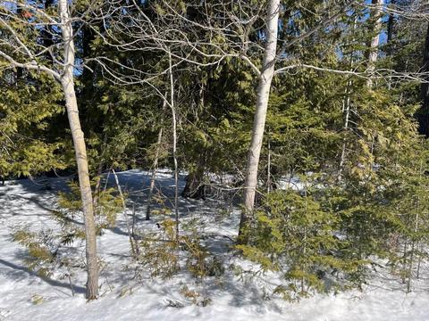 lot169 E Grand Lake Road Presque Isle Mi 49777 Rd, Presque Isle, MI 49777