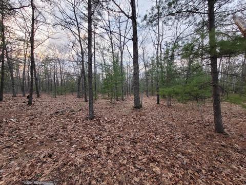 Tucker Road, Rogers City, MI 49779