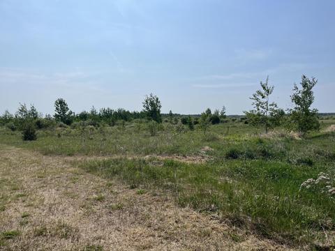 8155 S Maple Road Dafter Mi 49724 Rd, Dafter, MI 49724 photo 5