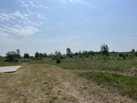 8155 S Maple Road Dafter Mi 49724 Rd, Dafter, MI 49724 photo 3