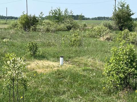 8155 S Maple Road Dafter Mi 49724 Rd, Dafter, MI 49724 photo 2