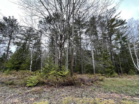 lot82 Sprucedale Ct, Presque Isle, MI 49777