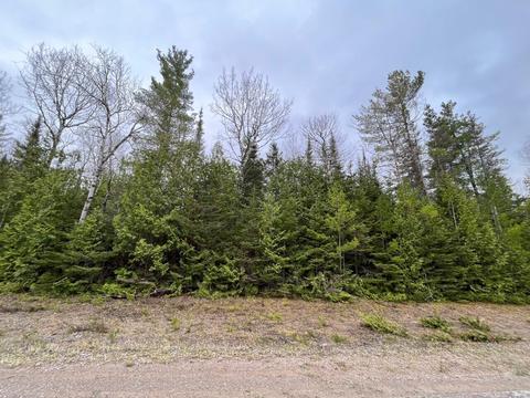 lot360 Pineview Dr, Presque Isle, MI 49777