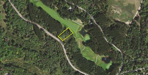 lot61 552 Fountains Dr, Lewiston, MI 49756