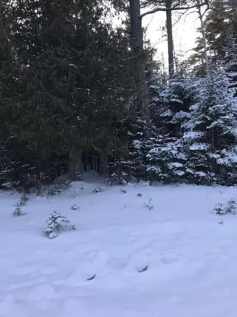 wilderness drive LOT 155, Presque Isle, MI 49777