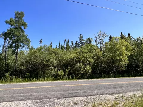 15241 Lakeview Drive Wolverine Mi 49799 Dr, Wolverine, MI 49799