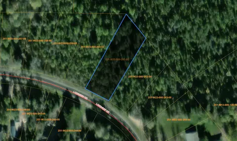 15241 Lakeview Drive Wolverine Mi 49799 Dr, Wolverine, MI 49799 photo 3