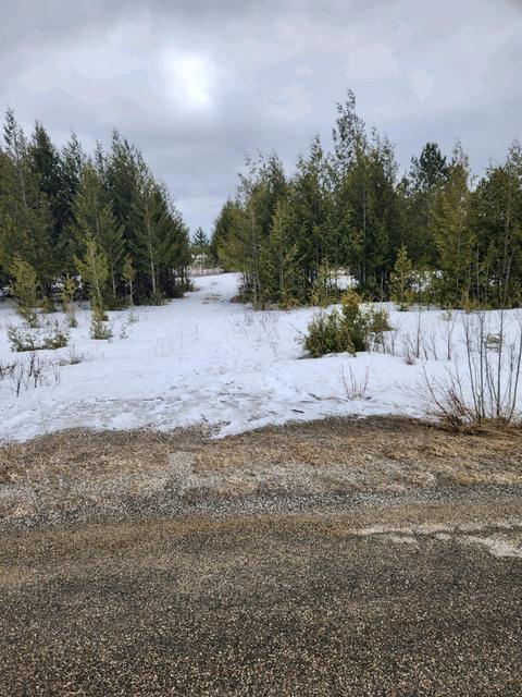 2004 Brevort Lake Road #002-004-004-10, Moran, MI 49760