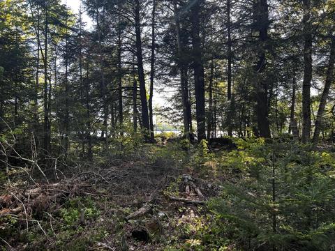 9 5 Acre Lot Roth Road Pellston Mi 49769 Rd, Pellston, MI 49769 photo 10