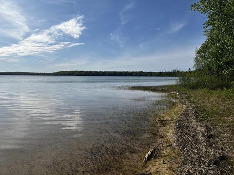 9 5 Acre Lot Roth Road Pellston Mi 49769 Rd, Pellston, MI 49769 photo 4