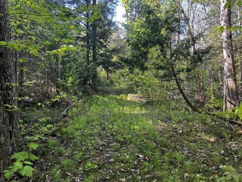 9 5 Acre Lot Roth Road Pellston Mi 49769 Rd, Pellston, MI 49769 photo 11