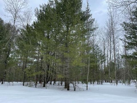 lot143 Beechnut Trail Gaylord Mi 49735 Trl, Gaylord, MI 49735