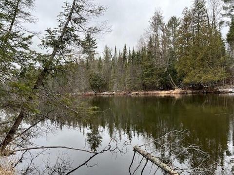 N Ausable Road, Luzerne, MI 48636