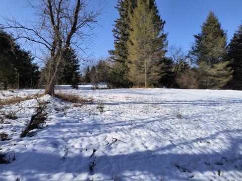 23043 W County Road 459 004-123-000-180-15 Hillman Mi 49746 #004-123-000-180-15, Hillman, MI 49746