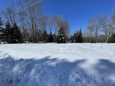 lot7 8 Spruce Road Lincoln Mi 48742 Rd, Lincoln, MI 48742