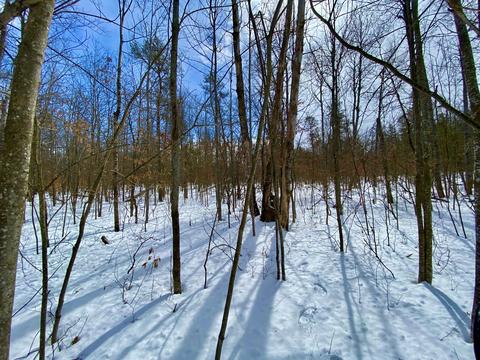 Five Points Trail, Johannesburg, MI 49751