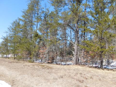 19 West Jones Lake Road #LOT 19, Grayling, MI 49738