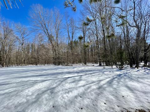 7198 E Mitchell Rd, Petoskey, MI 49770 photo 11