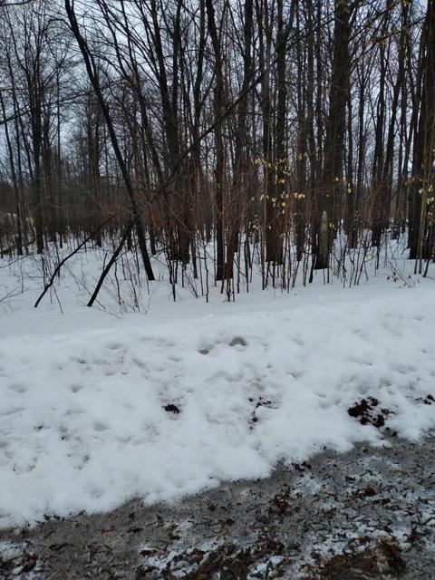 361 362 Wyndwood Drive Mancelona Mi 49659 Dr, Mancelona, MI 49659