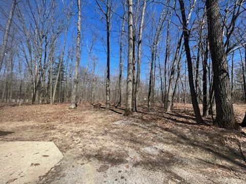 199 Rio Dr, Roscommon, MI 48653 photo 14