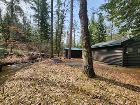 1275 Cauchy Road Mio Mi 48647 Rd, Mio, MI 48647 photo 10
