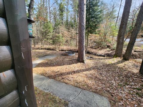 1275 Cauchy Road Mio Mi 48647 Rd, Mio, MI 48647 photo 32