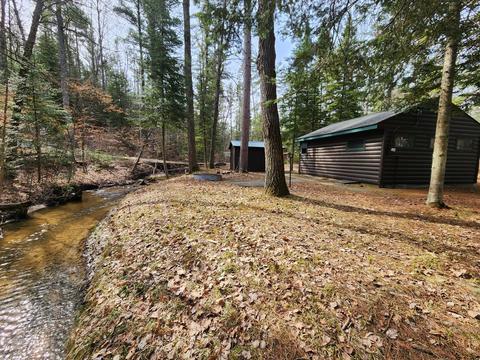 1275 Cauchy Road Mio Mi 48647 Rd, Mio, MI 48647 photo 9