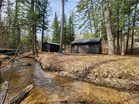 1275 Cauchy Road Mio Mi 48647 Rd, Mio, MI 48647 photo 1