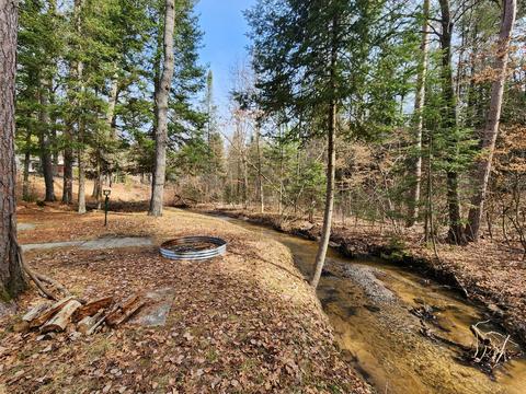 1275 Cauchy Road Mio Mi 48647 Rd, Mio, MI 48647 photo 12