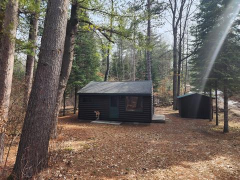 1275 Cauchy Road Mio Mi 48647 Rd, Mio, MI 48647 photo 5
