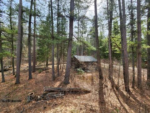 1275 Cauchy Road Mio Mi 48647 Rd, Mio, MI 48647 photo 16