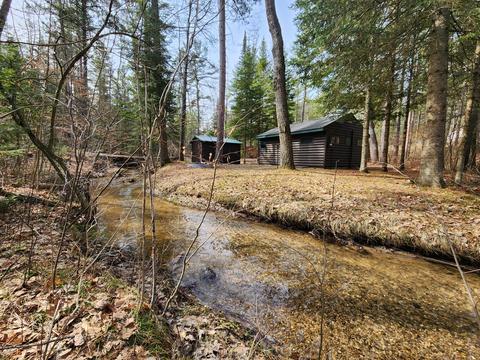 1275 Cauchy Road Mio Mi 48647 Rd, Mio, MI 48647 photo 2