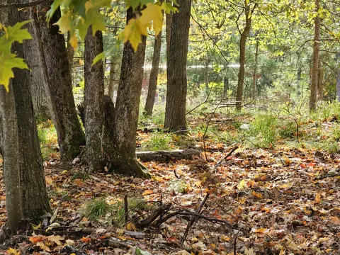 lot1219 Pebble Bch, Gaylord, MI 49735