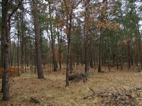 672 E M-72 Grayling Mi 49738, Grayling, MI 49738 photo 17