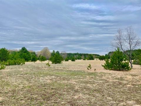 315 NE Crawford Lake Road 006-019-009-01 Kalkaska Mi 49646 Rd #006-019-009-01, Kalkaska, MI 49646
