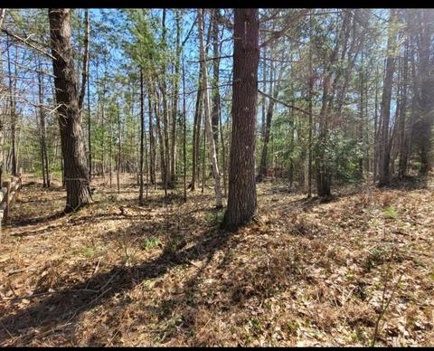 lot5 W12 Xylem Lane Ocqueoc Mi 49759 Ln, Ocqueoc, MI 49759