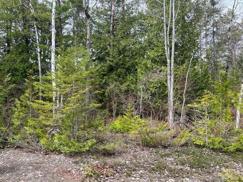lot15 E Grand Lake Road Presque Isle Mi 49777 Rd, Presque Isle, MI 49777