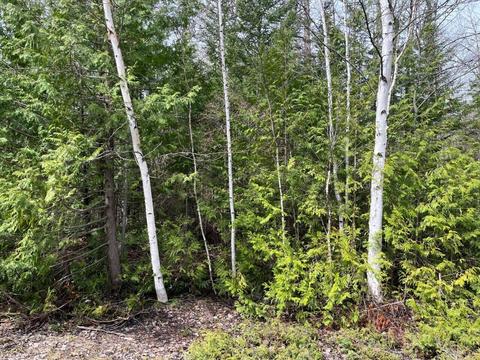 lot30 E Grand Lake Road Presque Isle Mi 49777 Rd, Presque Isle, MI 49777