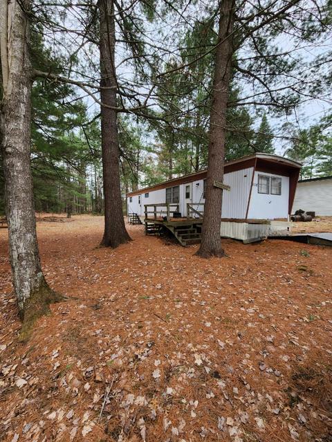 10302 Ford Dr, Saint Helen, MI 48656