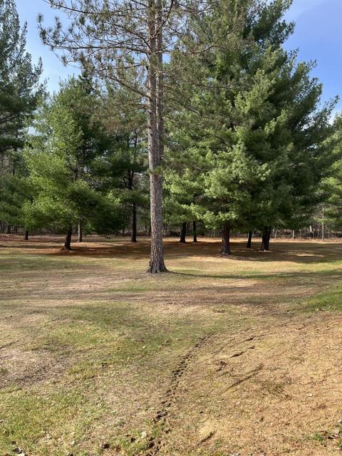 10031 Harpfer Dr, Harrison, MI 48625 photo 26