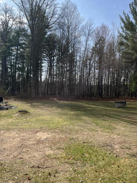 10031 Harpfer Dr, Harrison, MI 48625 photo 25