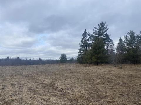 4 W Lots W Kipling Drive Rudyard Mi 49780 Dr, Rudyard, MI 49780
