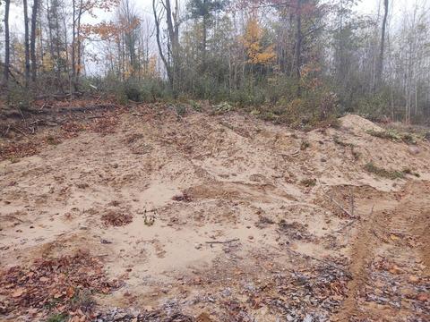 M-33, Comins, MI 48619 photo 6