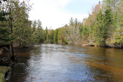 78 E M-72, Grayling, MI 49738 photo 41