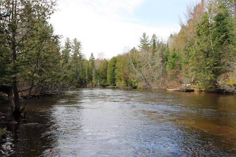 78 E M-72, Grayling, MI 49738 photo 42