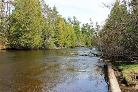 78 E M-72, Grayling, MI 49738 photo 43