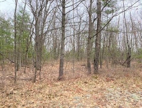 Pipeline Road, Topinabee, MI 49791