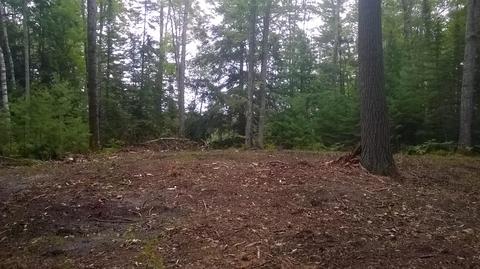 Wnw W Co.rd. 646, Rogers City, MI 49779
