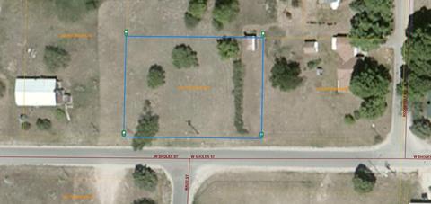 W Sholes Street, Wolverine, MI 49799