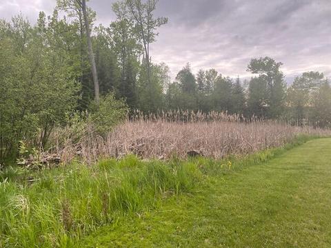 3760 Big Maple Rd, Spruce, MI 48762 photo 13